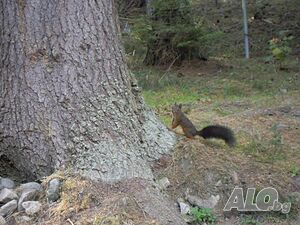 image_16