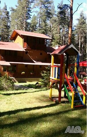 image_49