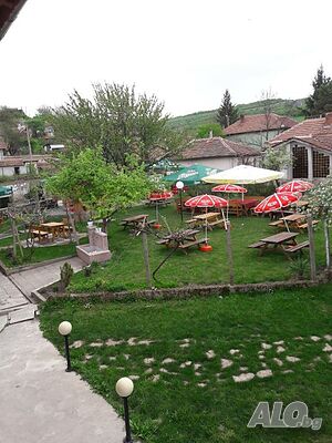 image_3