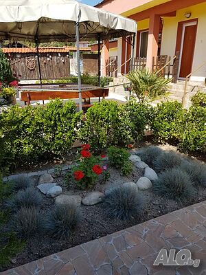 image_23
