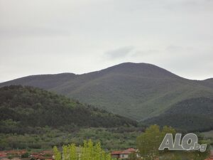 image_12