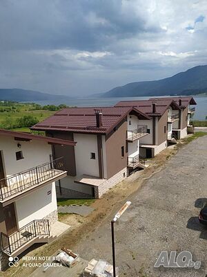 Стая под наем Вили Елеганс