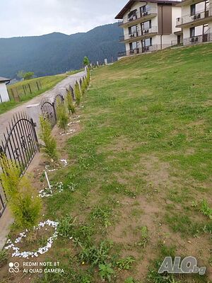 image_22