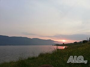 image_24