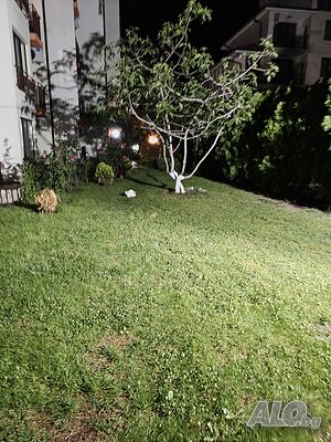 image_9