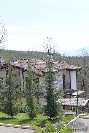 image_8