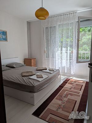 image_2