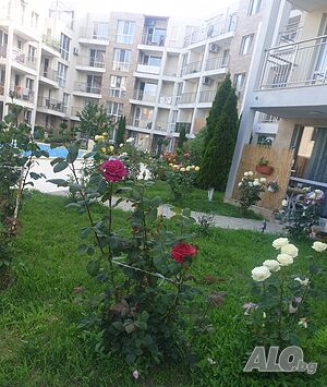 image_16