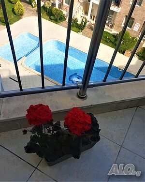 image_15