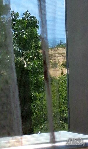 image_46