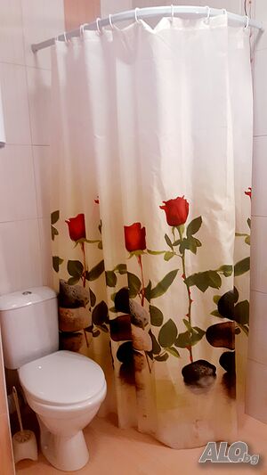 image_33