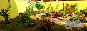 image_45