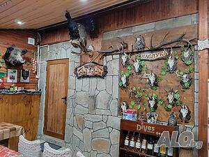 image_13
