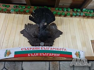 image_19