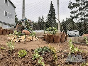 image_23