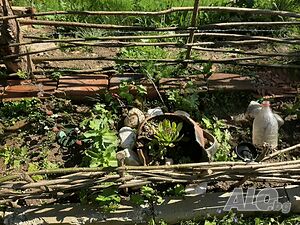 image_29
