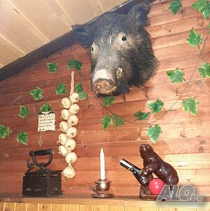 image_35