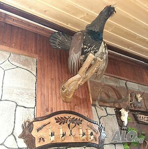 image_36