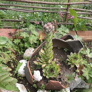 image_40