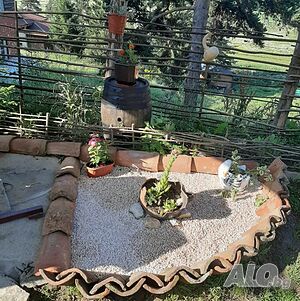 image_41