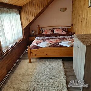 image_81