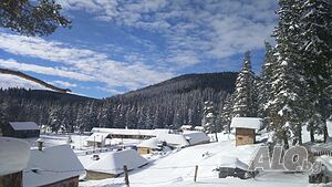 image_91