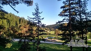 image_92