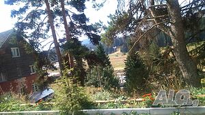 image_94