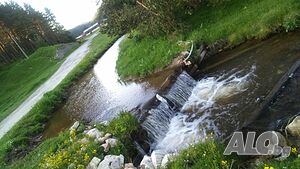 image_95