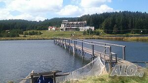 image_96