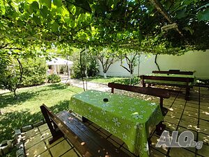 image_19