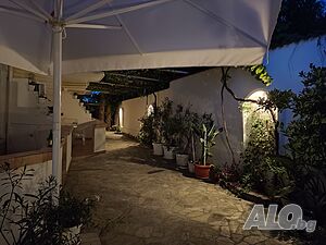 image_19