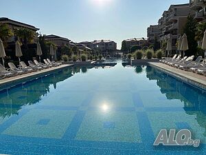image_49
