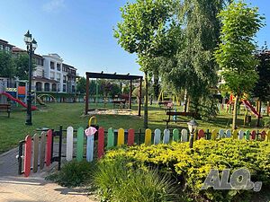 image_50
