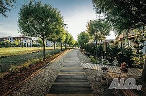 image_41