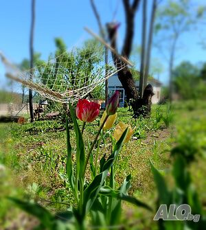 image_16