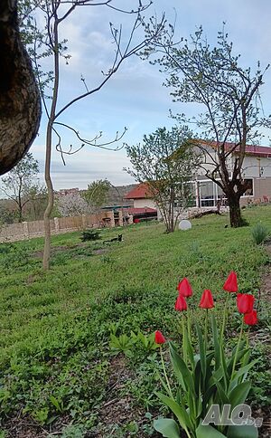 image_18