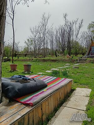 image_20