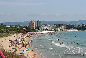 image_29