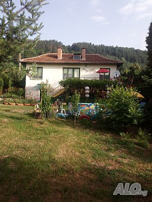 image_5