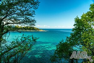 image_19