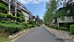 image_24