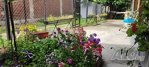 image_11