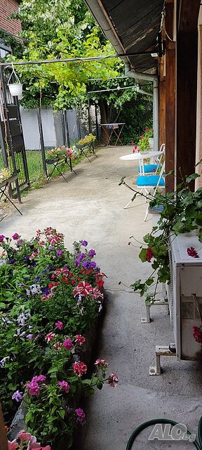 image_12