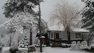 image_3