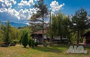 image_24