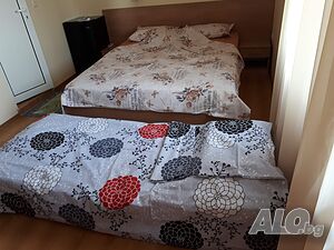 Стая под наем Стаи под наем Вила Мимоза