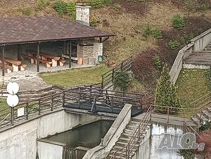 image_24