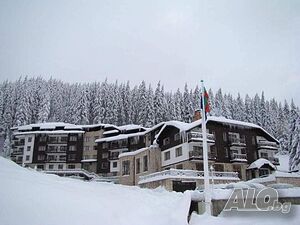 image_3