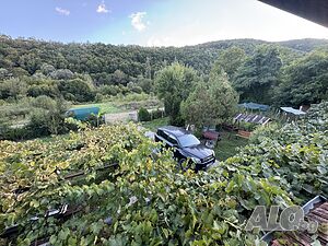 image_11